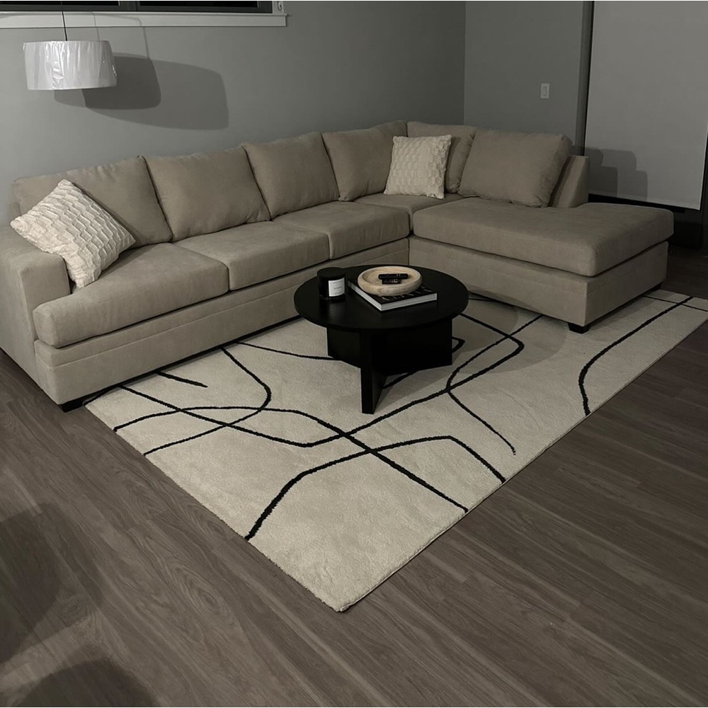 Cream and Black Rug